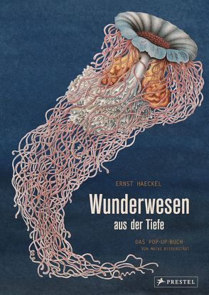 Wunderwesen aus der Tiefe. Ernst Haeckel von Biederstädt,  Maike, Haeckel,  Ernst