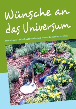 Wünsche an das Universum von Gomez,  Sandy