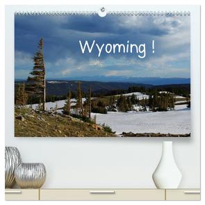Wyoming! (hochwertiger Premium Wandkalender 2024 DIN A2 quer), Kunstdruck in Hochglanz von Del Luongo,  Claudio
