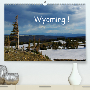 Wyoming! (Premium, hochwertiger DIN A2 Wandkalender 2021, Kunstdruck in Hochglanz) von Del Luongo,  Claudio