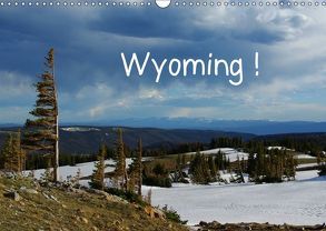 Wyoming! (Wandkalender 2019 DIN A3 quer) von Del Luongo,  Claudio