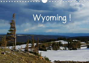 Wyoming! (Wandkalender 2021 DIN A4 quer) von Del Luongo,  Claudio