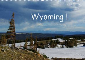 Wyoming! (Wandkalender 2023 DIN A2 quer) von Del Luongo,  Claudio