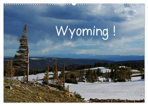 Wyoming! (Wandkalender 2024 DIN A2 quer), CALVENDO Monatskalender von Del Luongo,  Claudio