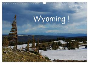 Wyoming! (Wandkalender 2024 DIN A3 quer), CALVENDO Monatskalender von Del Luongo,  Claudio