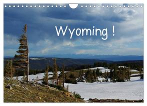 Wyoming! (Wandkalender 2024 DIN A4 quer), CALVENDO Monatskalender von Del Luongo,  Claudio