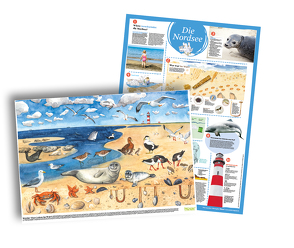 XXL-Erklärplakat „Nordsee“