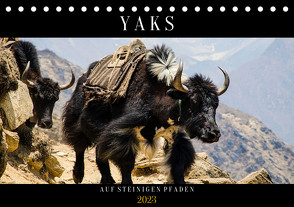 Yaks – auf steinigen Pfaden (Tischkalender 2023 DIN A5 quer) von Utz,  Renate