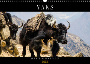 Yaks – auf steinigen Pfaden (Wandkalender 2023 DIN A3 quer) von Utz,  Renate