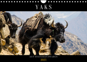 Yaks – auf steinigen Pfaden (Wandkalender 2023 DIN A4 quer) von Utz,  Renate