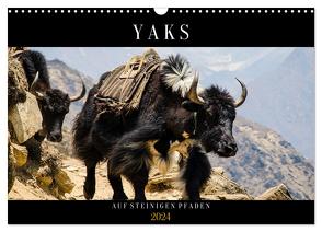 Yaks – auf steinigen Pfaden (Wandkalender 2024 DIN A3 quer), CALVENDO Monatskalender von Utz,  Renate