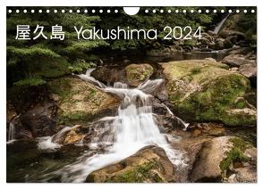 Yakushima – Japans Weltnaturerbe (Wandkalender 2024 DIN A4 quer), CALVENDO Monatskalender von Lohse-Koch,  Steffen
