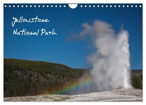 Yellowstone National Park (Wandkalender 2024 DIN A4 quer), CALVENDO Monatskalender von Kaiser,  Ralf
