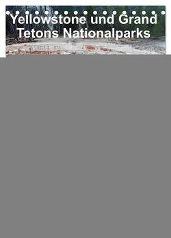 Yellowstone und Grand Tetons Nationalparks (Tischkalender 2024 DIN A5 hoch), CALVENDO Monatskalender von Enders,  Borg