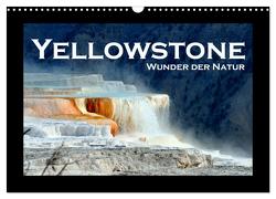 Yellowstone – Wunder der Natur (Wandkalender 2024 DIN A3 quer), CALVENDO Monatskalender von Styppa,  Robert