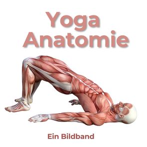 Yoga Anatomie von Hübsch,  Bibi