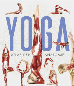 YOGA – Atlas der Anatomie von Tengs,  Svenja