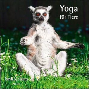 Yoga für Tiere 2019 – Broschürenkalender – Wandkalender – mit herausnehmbarem Poster – Format 30 x 30 cm von DUMONT Kalenderverlag