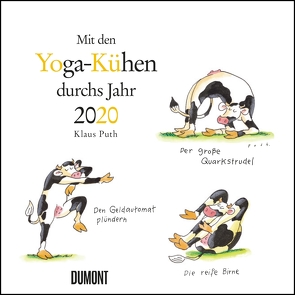 Yoga-Kühe 2020 – Wandkalender – Quadratformat 24 x 24 cm von DUMONT Kalenderverlag, Puth,  Klaus