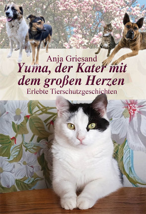 Yuma, der Kater mit dem großen Herzen von Griesand,  Anja