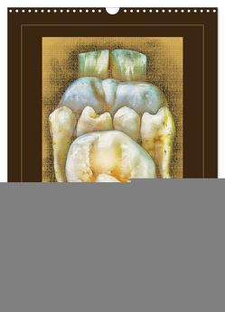 Zähne auf Leinwand (Wandkalender 2024 DIN A3 hoch), CALVENDO Monatskalender von Baisch,  Werner