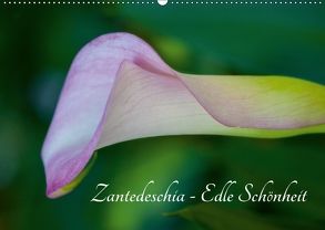 Zantedeschia – Edle Schönheit (Wandkalender 2018 DIN A2 quer) von Drafz,  Silvia