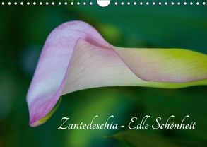 Zantedeschia – Edle Schönheit (Wandkalender 2018 DIN A4 quer) von Drafz,  Silvia