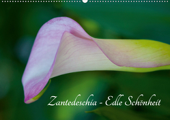 Zantedeschia – Edle Schönheit (Wandkalender 2021 DIN A2 quer) von Drafz,  Silvia