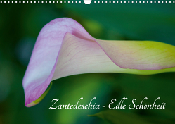 Zantedeschia – Edle Schönheit (Wandkalender 2021 DIN A3 quer) von Drafz,  Silvia