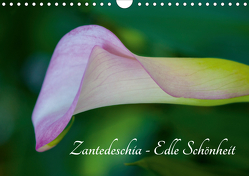 Zantedeschia – Edle Schönheit (Wandkalender 2021 DIN A4 quer) von Drafz,  Silvia