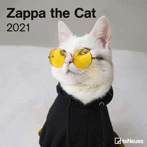 Zappa the Cat 2021 – Wand-Kalender – Broschüren-Kalender – 30×30 – 30×60 geöffnet – Katzen-Kalender