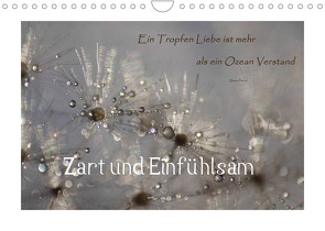 Zart und Einfühlsam (Wandkalender 2023 DIN A4 quer) von Madalinski,  Anne
