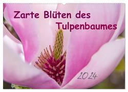 Zarte Blüten des Tulpenbaumes (Wandkalender 2024 DIN A2 quer), CALVENDO Monatskalender von Laage,  Elke