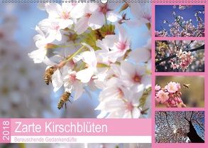 Zarte Kirschblüten – Berauschende Gedankendüfte (Wandkalender 2018 DIN A2 quer) von Hackstein,  Bettina