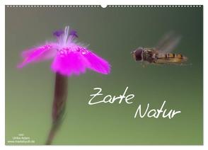 Zarte Natur 2024 (Wandkalender 2024 DIN A2 quer), CALVENDO Monatskalender von Adam,  Ulrike