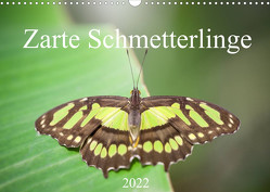 Zarte Schmetterlinge (Wandkalender 2022 DIN A3 quer) von Gann (magann),  Markus