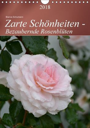 Zarte Schönheiten – Bezaubernde RosenblütenAT-Version (Wandkalender 2018 DIN A4 hoch) von Schumann,  Bianca