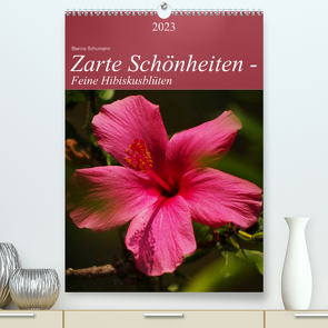 Zarte Schönheiten – Feine HibiskusblütenAT-Version (Premium, hochwertiger DIN A2 Wandkalender 2023, Kunstdruck in Hochglanz) von Schumann,  Bianca