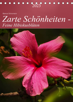 Zarte Schönheiten – Feine HibiskusblütenAT-Version (Tischkalender 2023 DIN A5 hoch) von Schumann,  Bianca