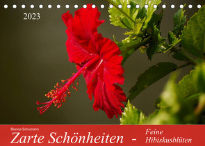 Zarte Schönheiten – Feine HibiskusblütenAT-Version (Tischkalender 2023 DIN A5 quer) von Schumann,  Bianca