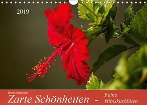 Zarte Schönheiten – Feine HibiskusblütenAT-Version (Wandkalender 2019 DIN A4 quer) von Schumann,  Bianca