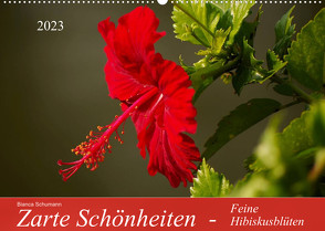 Zarte Schönheiten – Feine HibiskusblütenAT-Version (Wandkalender 2023 DIN A2 quer) von Schumann,  Bianca