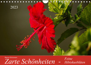 Zarte Schönheiten – Feine HibiskusblütenAT-Version (Wandkalender 2023 DIN A4 quer) von Schumann,  Bianca