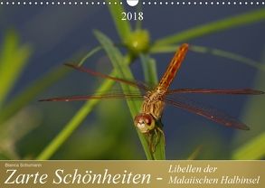 Zarte Schönheiten – Libellen der Malaiischen Halbinsel (Wandkalender 2018 DIN A3 quer) von Schumann,  Bianca