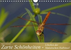 Zarte Schönheiten – Libellen der Malaiischen Halbinsel (Wandkalender 2018 DIN A4 quer) von Schumann,  Bianca