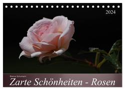 Zarte Schönheiten – Rosen (Tischkalender 2024 DIN A5 quer), CALVENDO Monatskalender von Schumann,  Bianca