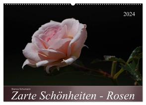 Zarte Schönheiten – Rosen (Wandkalender 2024 DIN A2 quer), CALVENDO Monatskalender von Schumann,  Bianca