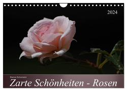 Zarte Schönheiten – Rosen (Wandkalender 2024 DIN A4 quer), CALVENDO Monatskalender von Schumann,  Bianca