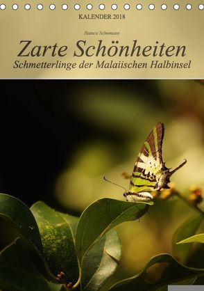 Zarte Schönheiten Schmetterlinge der Malaiischen Halbinsel (Tischkalender 2018 DIN A5 hoch) von Schumann,  Bianca