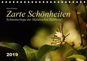 Zarte Schönheiten Schmetterlinge der Malaiischen Halbinsel (Tischkalender 2019 DIN A5 quer) von Schumann,  Bianca